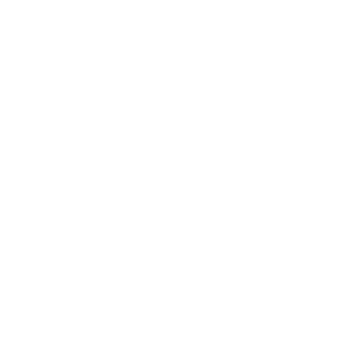 South Bay Power Partners: A Los Angeles Networking Group